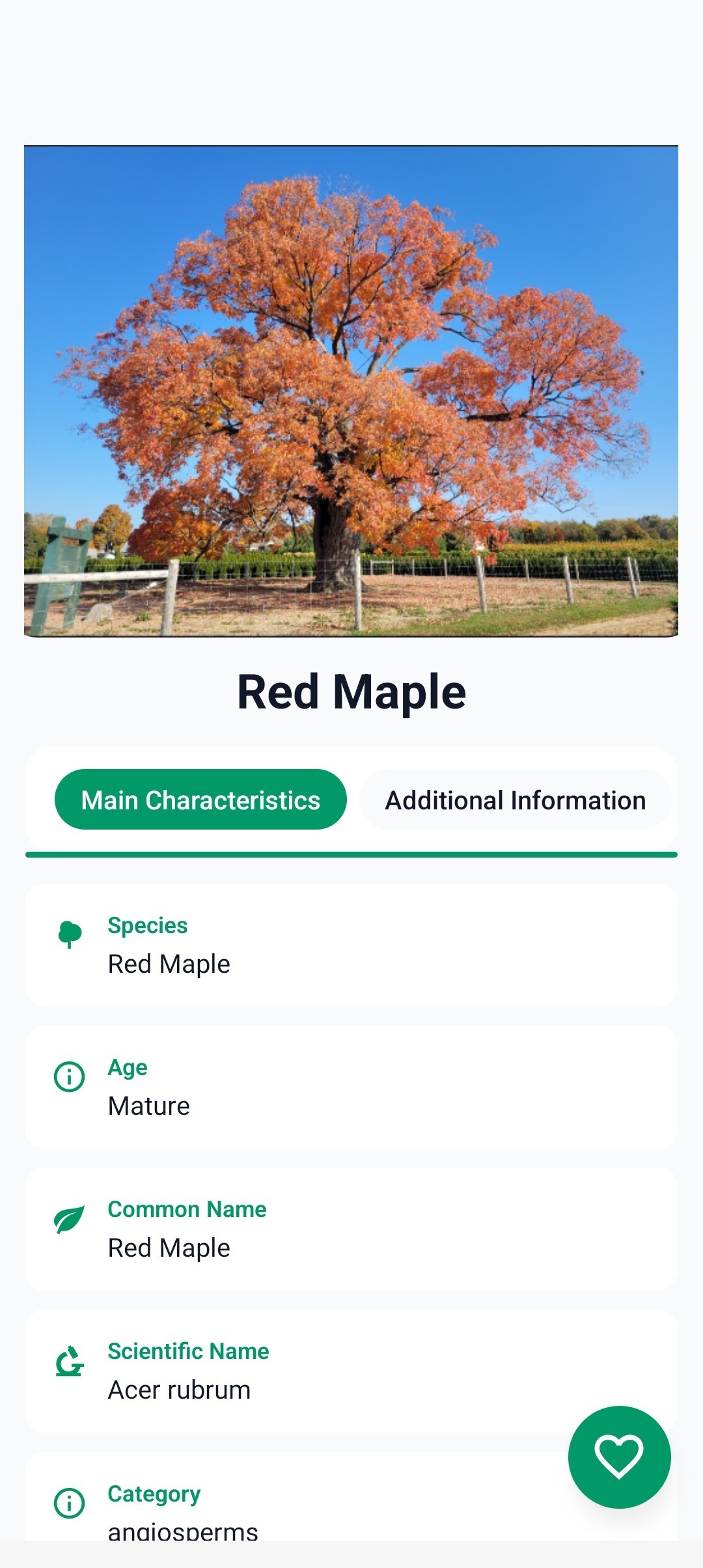 Detailed Tree Info