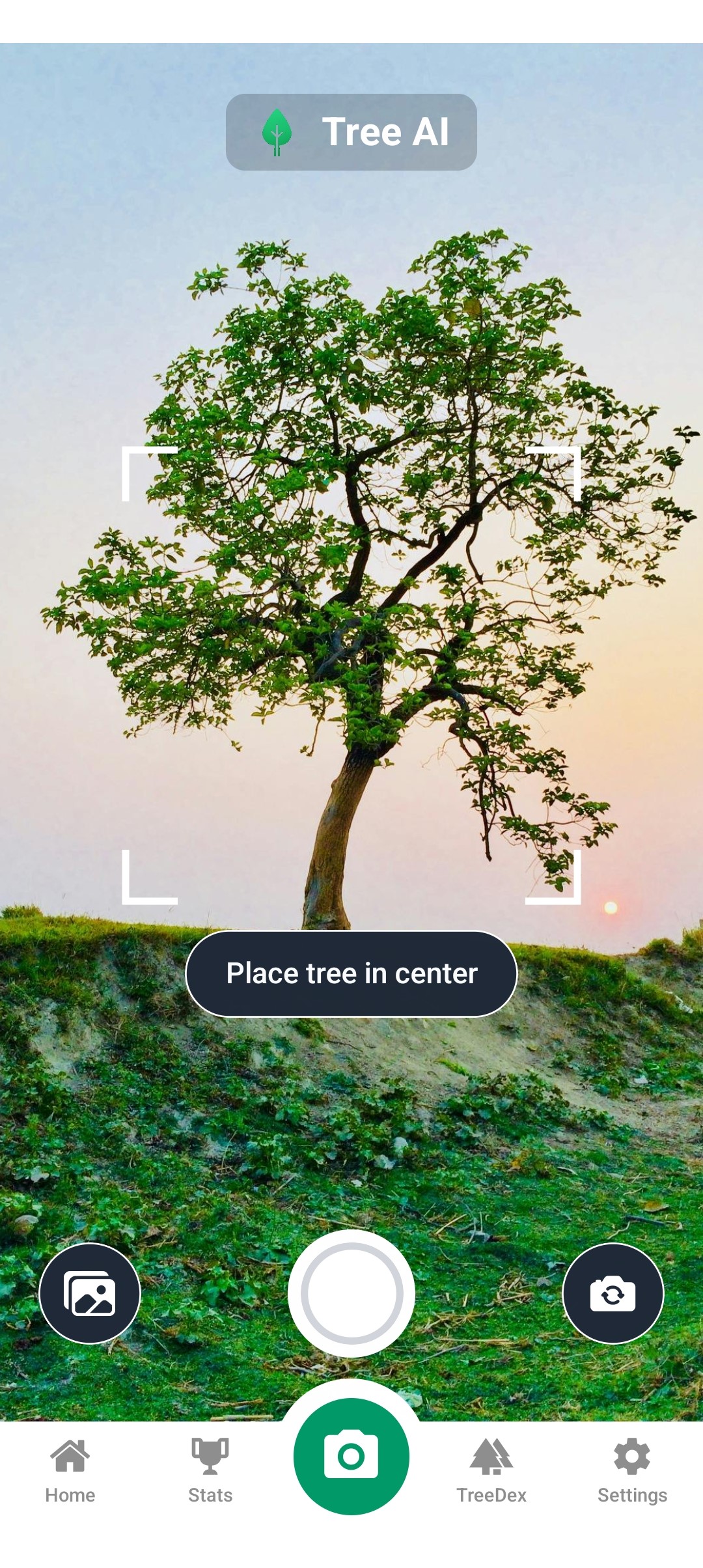 Tree AI Scan Interface